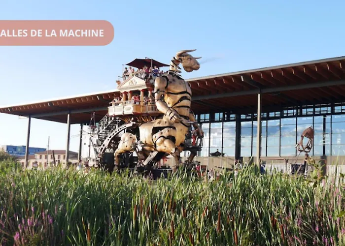 T3 Universites & Hospitals - Havre De Paix Pres - Parking - Terrasse 툴루즈